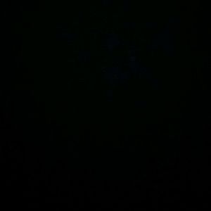 Meet your Posher, Rose